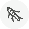 Selenium