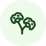 Ginkgo Biloba
